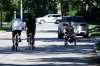 Winnipeg city council’s executive policy committee has voted to reduce operations of the Wellington Crescent enhanced summer cycling route to Sundays and holidays only, starting Sept. 7. (John Woods / Winnipeg Free Press files)