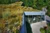 Brent Bellamy photo
Green roofs, such as the one on the Qualico Family Centre in Assiniboine Park, can help to reduce energy use, moderate temperatures and improve air quality.