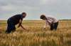 David Lipnowski / The Canadian Press
Federal Agriculture Minister Marie-Claude Bibeau speaks with Curtis McRae as she tours his grain farm in the drought-stricken Interlake region of Manitoba to discuss support measures.