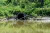 JESSE BOILY / WINNIPEG FREE PRESS Sewer outflow into the Assiniboine River by Bourkevale Park on Wednesday. Wednesday, July 29, 2020. Reporter: Joyanne