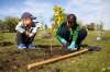 Daniel Crump / Winnipeg Free Press
Brothers Sean Terichow Parrott and Jesse Terichow Parrott, members of 1st Crestview Scouts troop, plant a tree on the bank of Sturgeon Creek Saturday.