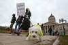 SHANNON VANRAES/WINNIPEG FREE PRESS FILES
Members and supporters of the University of Manitoba Faculty Association took part in a dog walking action at the Legislative Building last Friday to protest what the union calls government interference in the collective barging process.