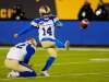Winnipeg Blue Bombers kicker Sergio Castillo kicks a field goal against the Hamilton Tiger-Cats during second half football action in the Grey Cup in Hamilton on Sunday. THE CANADIAN PRESS/Frank Gunn