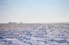 MIKAELA MACKENZIE / WINNIPEG FREE PRESS
Snowy fields near the Canada/U.S. border about 10km east of Emerson near where two adults, one teenager, and one infant were found deceased in the area.