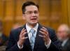 Adrian Wyld / Canadian Press files
Conservative Party leadership candidate Pierre Poilievre