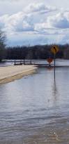 SUPPLIED
The flooded road near Kyle Langlais’ property in the municipality of Ritchot this week.