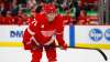 Paul Sancya / The Associated Press files
Dylan Larkin and the Detroit Red Wings currently sitting in last place in the NHL, 21 points behind Winnipeg in the standings.