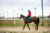 MIKAELA MACKENZIE / WINNIPEG FREE PRESS
Antonio Whitehall rides Reasonable Cause at Assiniboia Downs. The track opens for thoroughbred racing on Monday, though there will be no fans in the stands.