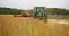 MIKE DEAL / WINNIPEG FREE PRESS
Graham Tapley, joined in the tractor cab with his son Walker, 2, cuts hay for the cattle.