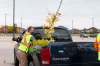 Rosanna Hempel / Winnipeg Free Press
A volunteer secures a tree in the back of Noni Bodnar’s truck at the ReLeaf Tree Planting Program pick-up.