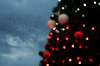 A flock of starlings flies in the sky as a Christmas tree is lit outside Rome's Termini railway station, Thursday, Dec.10, 2020. (AP Photo/Gregorio Borgia)