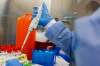 A laboratory technician prepares COVID-19 patient samples for semi-automatic testing. (AP Photo/John Minchillo, File)