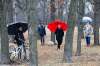 From left: Jean Altemeyer, Roxana Mazur, Erna Buffie and Emma Durand-Wood from Trees Please Winnipeg are concerned that diseased trees being cut down in the city are not being replaced, leaving only stumps behind. (John Woods / Winnipeg Free Press)