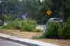 Daniel Crump / Winnipeg Free Press. Felled trees line the median on Roblin Blvd from Scotswood Drive almost all the way to perimeter highway. The destruction is the aftermath of a house that was being moved from the Roblin Grove development in Charleswood on Saturday morning. August 7, 2021.