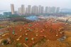 FILE - In this Friday, Jan. 24, 2020, file photo, heavy equipment works at a construction site for a field hospital in Wuhan in central China's Hubei Province. A patient in Southern California is third person in the U.S. to be diagnosed with the new pneumonia-like virus from China, health officials said. (Chinatopix via AP, File)