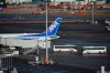 A Japanese chartered plane carrying evacuees from Wuhan, China, is parked after landing at Haneda international airport in Tokyo Wednesday, Jan. 29, 2020. (AP Photo/Eugene Hoshiko)