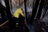 A firefighter manages a controlled burn near Tomerong, Australia, Wednesday, Jan. 8, 2020, in an effort to contain a larger fire nearby. Around 2,300 firefighters in New South Wales state were making the most of relatively benign conditions by frantically consolidating containment lines around more than 110 blazes and patrolling for lightning strikes, state Rural Fire Service Commissioner Shane Fitzsimmons said. (AP Photo/Rick Rycroft)