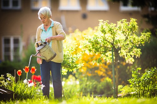 Gardening is a low-impact and enjoyable way to keep moving.