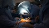 Orthepedic Surgeon Thomas Turgeon bends to his work during knee replacement surgery at Concordia Hospital Monday morning. August 13, 2012 - Phil Hossack / Winnipeg Free Press