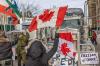Alex Kent - TNS
A woman waves a flag and cheers on truckers protesting Canada’s COVID-19 vaccine mandates on Jan. 30, 2022 in Ottawa.