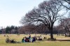 Daniel Crump / Winnipeg Free Press files. Despite the warm weather, it seems most people kept to themselves on the eve of the gathering ban.