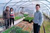 Farm owners Francois Daoust and Melina Plante, left, are seen in their greenhouse with summer employee Florence Lachapelle in Havelock, Que., on Thursday, April 23, 2020. THE CANADIAN PRESS/Paul Chiasson