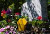 Justin Tang - THE CANADIAN PRESS
The Ottawa grave of Dr. Peter Henderson Bryce, a doctor working for the federal government who blew the whistle on the high death rates of Indigenous children in residential schools.