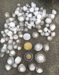 Hail collected at Canway Inn in Dauphin, just before 8 p.m. Friday evening by Derek Baschuk who was in town for the Ukrainian Festival. (Derek Baschuk photo / Winnipeg Free Press)