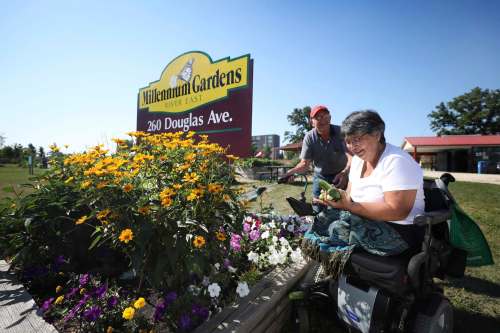 Mea Ramm (right) and Ed Zygarliski tend to the gardens. Ramm, who has used a wheelchair for the past five years, said funding is needed to pave the gravel path from Douglas Avenue to the Chief Peguis walkway to increase accessibility for those with mobility aids.