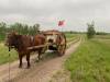 Terry Doerksen photo
Ox and cart on the beach?