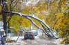 MIKAELA MACKENZIE / WINNIPEG FREE PRESS
A car drives under a large fallen branch laying over Dominion Street on Saturday.