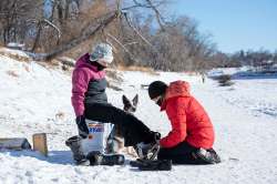 MIKE SUDOMA / WINNIPEG FREE PRESS
Nadia Regehr and her pup Lou help her daughter, Leanne Regehr Lee, tie up her skates along the Assiniboine River.