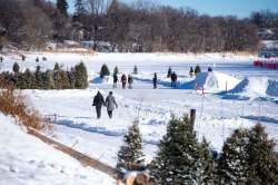 MIKE SUDOMA / WINNIPEG FREE PRESS
The Assiniboine River trail — when weather permits — becomes a long collection of Christmas trees, skating trails and walking paths.