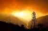 Smoke fills the sky as fire burns along the North Fork of the Feather River on Sunday. (Carolyn Cole/Los Angeles Times)