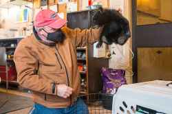 Roger Stearns takes the cub out of the transport kennel. (Mikaela MacKenzie / Winnipeg Free Press)