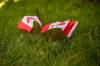 ETHAN CAIRNS / WINNIPEG FREE PRESS
Canadian flags lay on the ground at the New Day ceremony at The Forks.