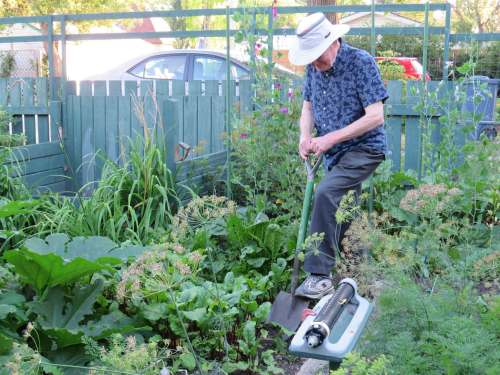 Colleen Zacharias / Winnipeg Free Press
Bill Linton, 87, says gardening keeps him feeling young.