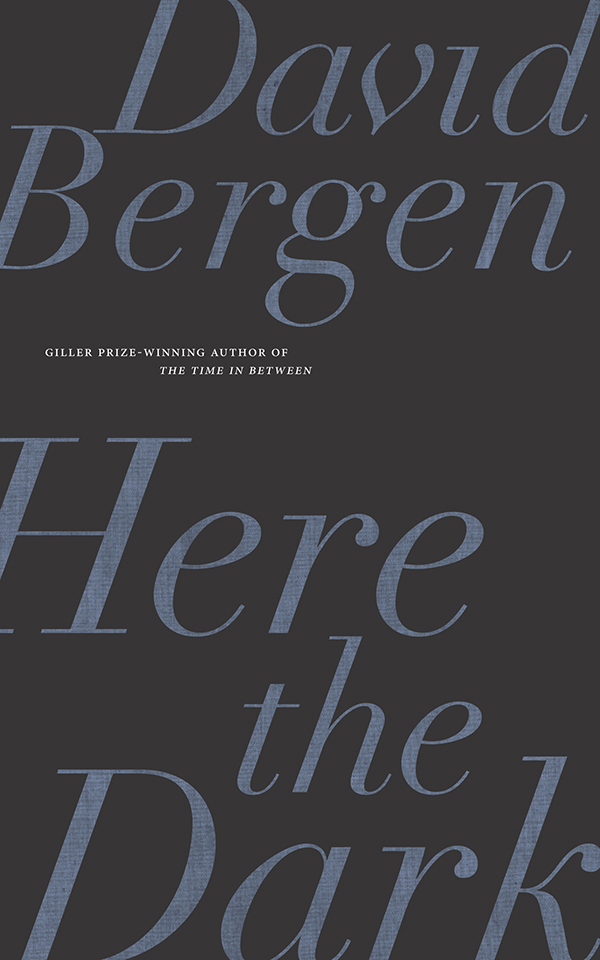 Here the Dark by David Bergen