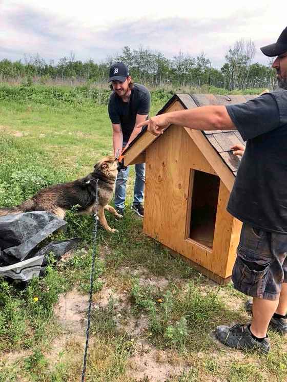 Zach Munn, left, introduces a dog at Ebb & Flow First Nation to its doghouse, while Mike Brambilla helps out.