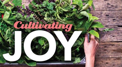 Cultivating joy