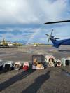 SUPPLIED 
Manitoba Animal Alliance pulled 31 vulnerable dogs out of the community of Mathias Colomb Cree Nation in Pukatawagan, and have fed and cared for hundreds more in the community.