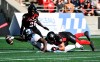 Toronto Argonauts wide receiver Kurleigh Gittens Jr. (19) reaches out to make a touchdown as Ottawa Redblacks defensive back Antoine Pruneau (6) is unable to stop him, during second half CFL football action in Ottawa on Saturday, Sept. 10. Winnipeg quarterback Zach Collaros, Gittens and Blue Bombers defensive lineman Willie Jefferson have been named the CFL's top performers for Week 14. THE CANADIAN PRESS/Justin Tang