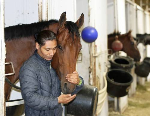 GEORGE WILLIAMS / WINNIPEG FREE PRESS
                                Leading jockey Jorge Carreno has a quiet moment with his Winnipeg Futurity mount Brandyn, who is conditioned by top North American trainer Robertino Diodoro. The 93rd running of the historic $50,000 race takes place Monday at Assiniboia Downs.