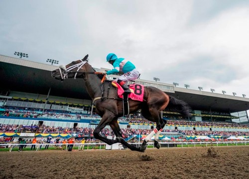 Jockey Rafael Hernandez, aboard Moira, races on their way to winning the 163rd running of the $1-million Queen's Plate in Toronto on August 21, 2022. Moira will run against some of the world's top female grass horses in the US$2-million Filly and Mare Turf event Saturday at the Breeders' Cup. THE CANADIAN PRESS/Mark Blinch