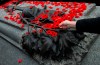 A poppy is placed on the Tomb of The Unknown Soldier following a Remembrance Day ceremony at the National War Memorial in Ottawa on Monday Nov. 11, 2019. This year will mark a full return to normalcy, including at the National War Memorial in Ottawa, after COVID-19 forced various changes to remembrance ceremonies over the past two years. THE CANADIAN PRESS/Sean Kilpatrick