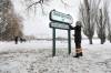 Wellington Park has been renamed Theodore Niizhotay Fontaine Park, after the prominent Indigenous leader and educator. (Ruth Bonneville / Winnipeg Free Press)
