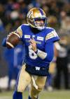 John Woods/THE CANADIAN PRESS
                                Winnipeg Blue Bombers quarterback Zach Collaros