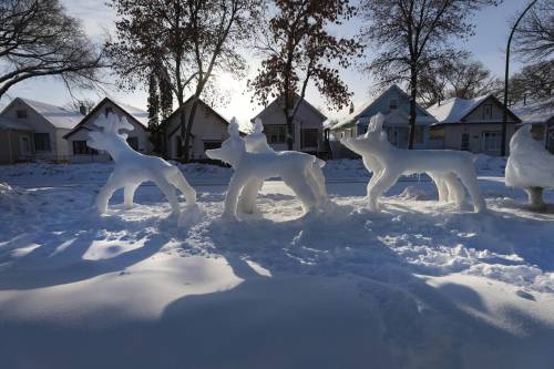 A team of snowy reindeer pull Santa’s sleigh in front of Leigh Keast's North End yard. (Ruth Bonneville / Winnipeg Free Press)