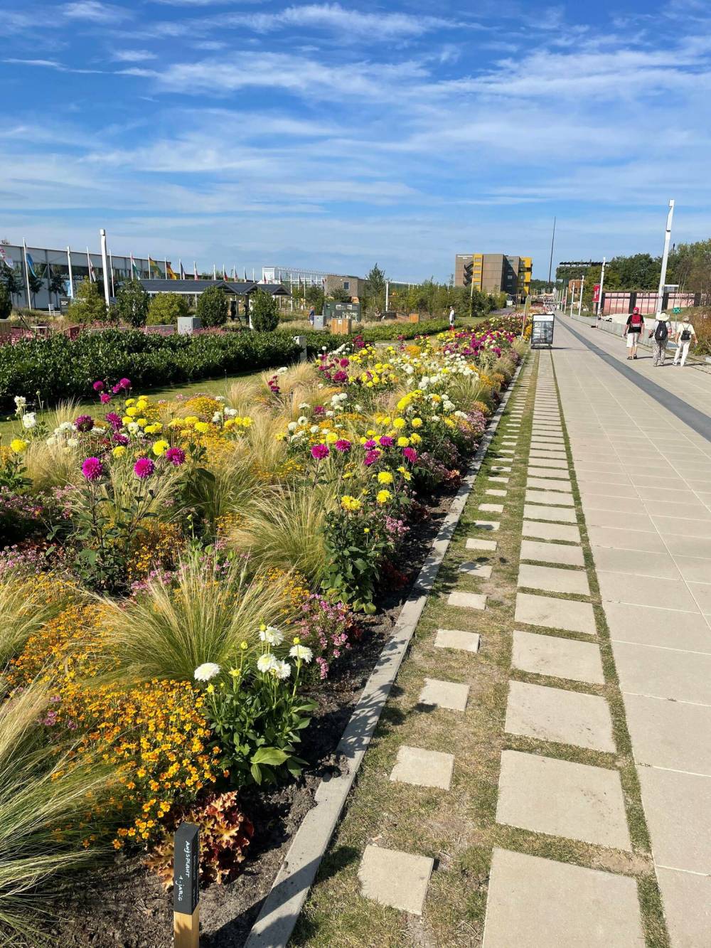 Helen Lesser
Plants in the city: this 3km-long ribbon of plants attracts bees which are indispensable to helping plants grow.