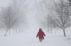 A person walks on the street as a winter storm rolls through Western New York Saturday, Dec. 24, 2022, in Amherst N.Y. A battering winter storm has knocked out power to hundreds of thousands of homes homes and businesses across the United States on Saturday. It left millions more to worry about the prospect of further outages and crippled police and fire departments. (AP Photo/Jeffrey T. Barnes)